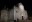 SAN MICHELE DELLE GROTTE, IN CATTEDRALE ORE 19 CELEBRAZIONE EUCARISTICA