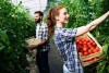 Aiuto all’avviamento di imprese per i giovani agricoltori, Bando Sottomisura 6.1 – 2025